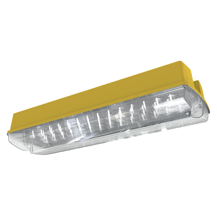 Guardian LED 110V Bulkhead 4W